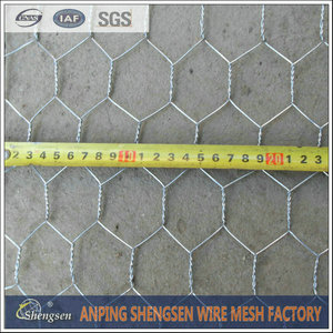300Chicken wire mesh (10).jpg